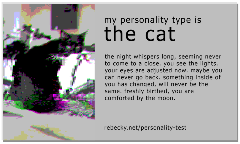 My personality type is The Cat: the night whispers long, seeming never to come to a close. you see the lights. your eyes are adjusted now. maybe you can never go back. something inside of you has changed, will never be the same. freshly birthed, you are comforted by the moon.

